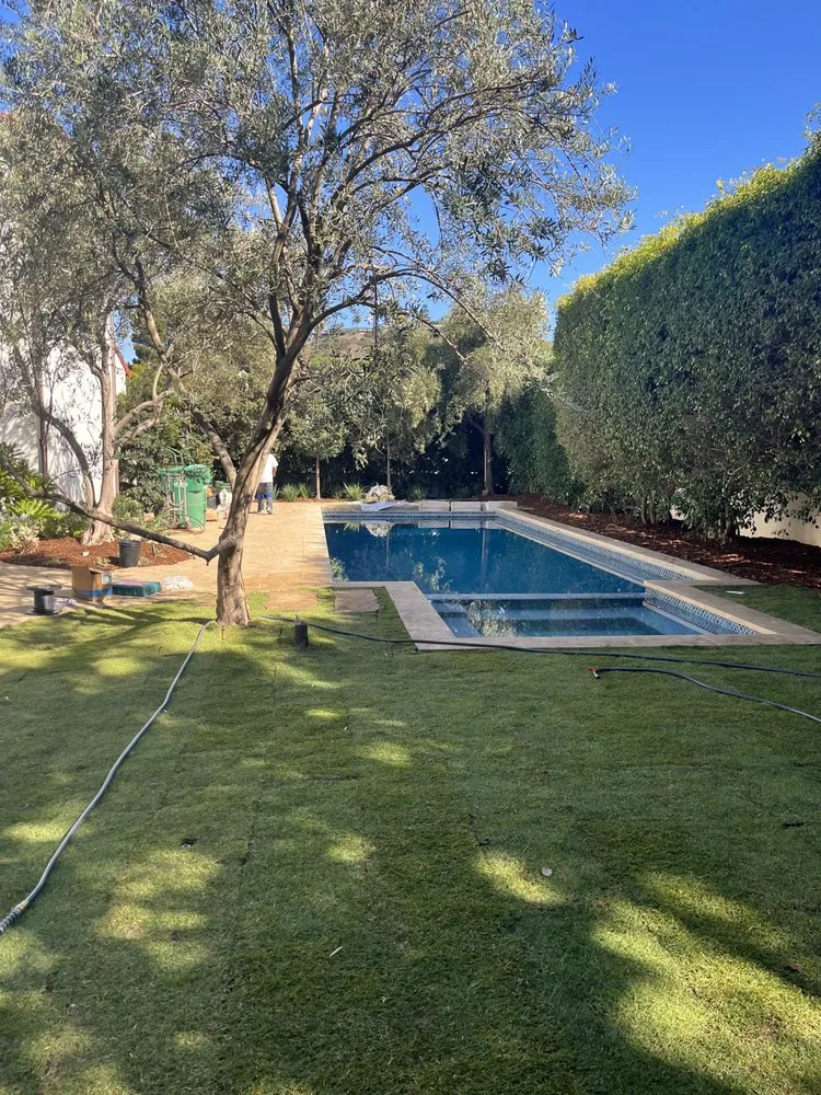 Professional yard cleanup service for year-round maintenance in Bonita, CA by Pacific Landcare Design