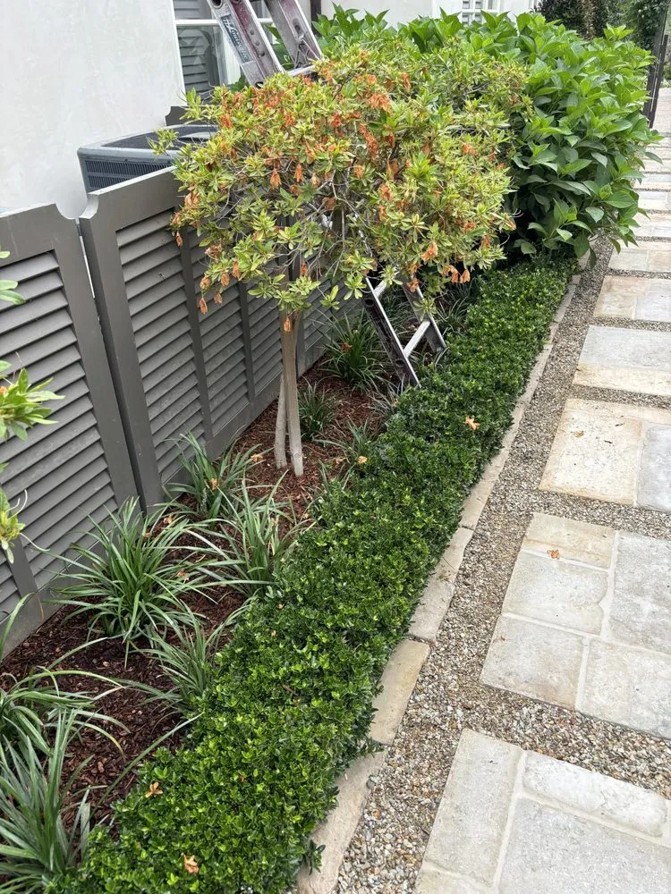 Affordable landscape installation with custom design in Bonita, CA by Pacific Landcare Design