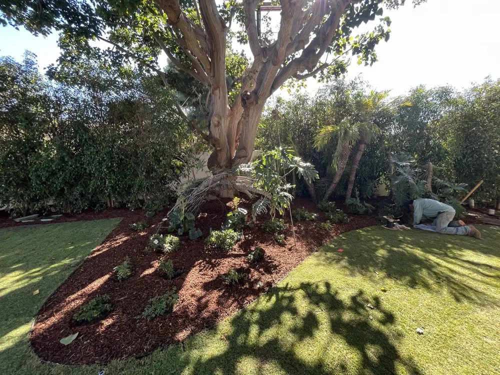 Reliable garden landscaping for year-round maintenance in Bonita, CA by Pacific Landcare Design