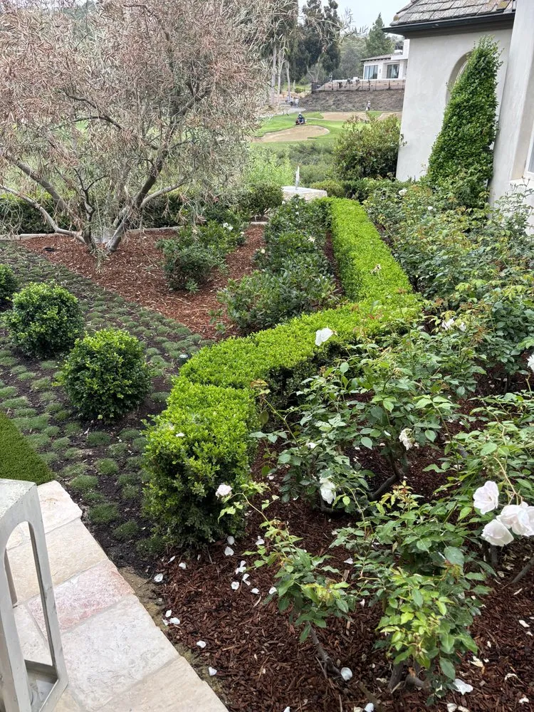 Trusted residential landscaping for homes in Bonita, CA by Pacific Landcare Design