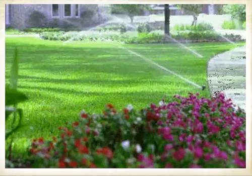 Affordable landscaping services for outdoor upgrades across Bremerton, WA - Pacific Landcare Group