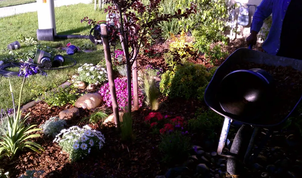 Local outdoor landscaping for residential properties in Sacramento, CA by Pacific Landscape & Maintenance