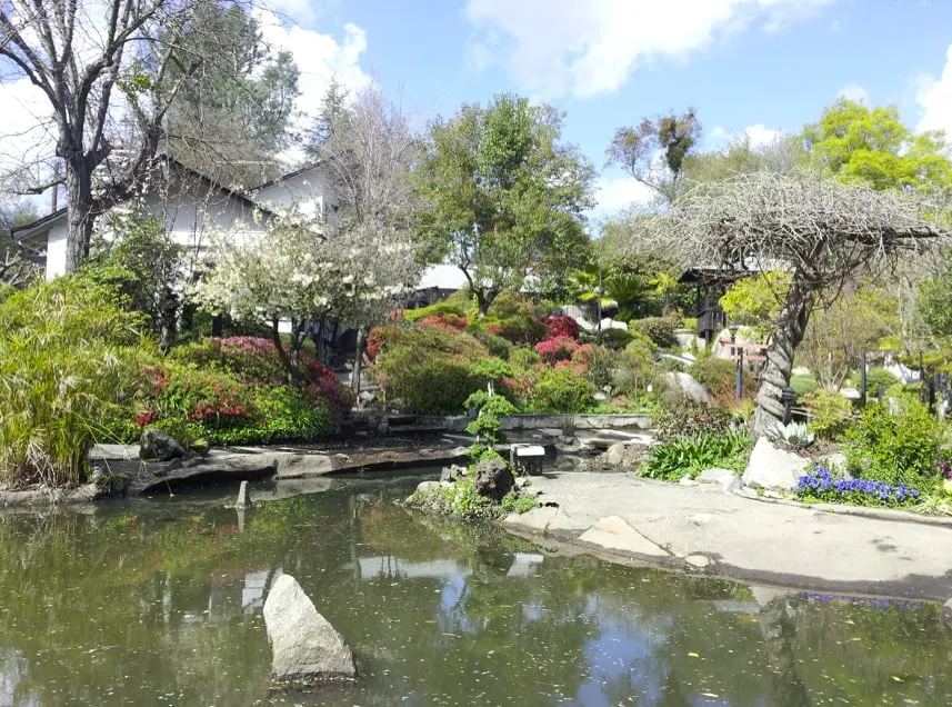 Expert garden landscaping in Sacramento, CA - Pacific Landscape & Maintenance