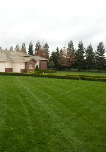 Top-rated residential landscaping in Sacramento, CA by Pacific Landscape & Maintenance