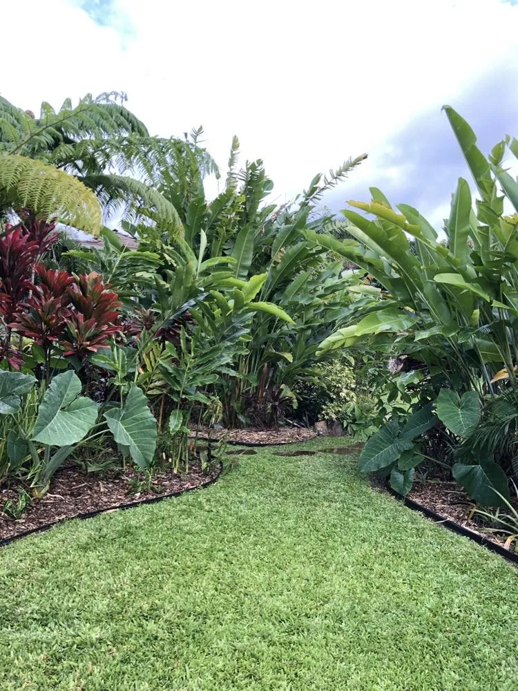 Custom lawn care service experts serving Kihei, HI - Pacific Landscape and Garden