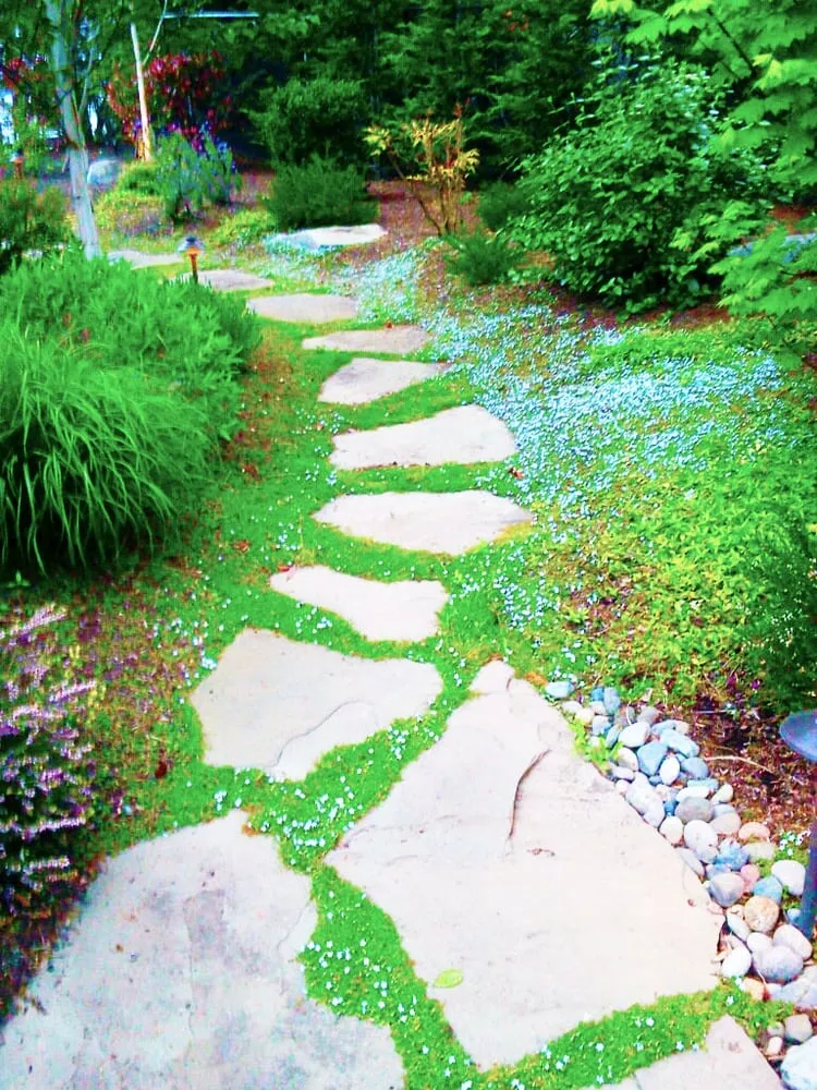 Custom landscaping services for outdoor upgrades in Gig Harbor, WA by Pacific Landscape Construction