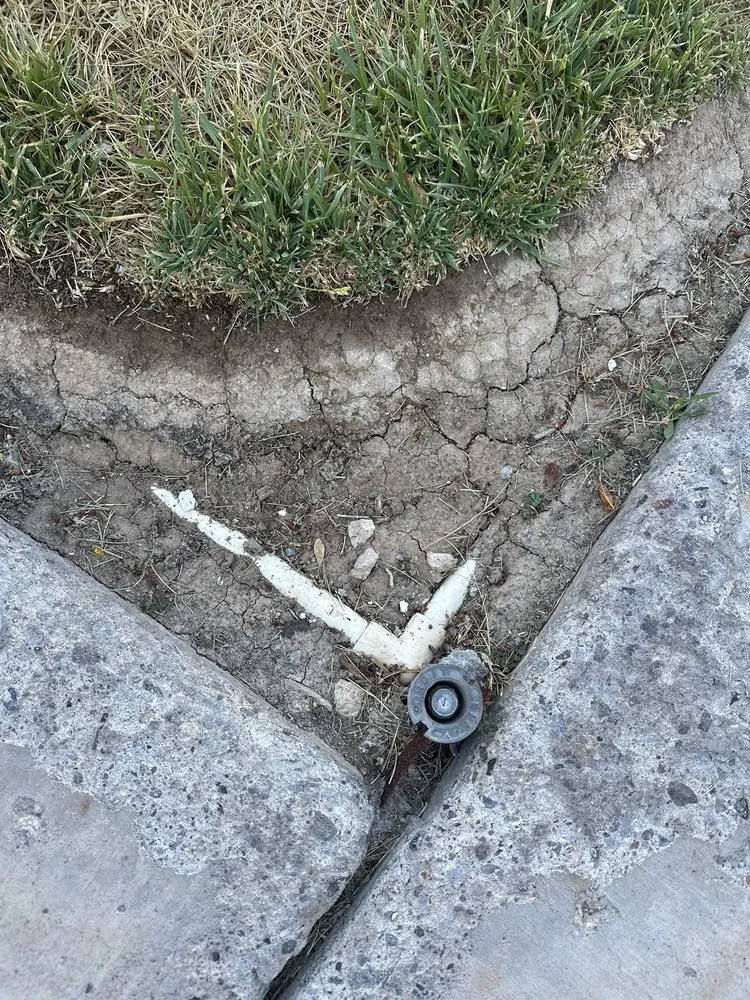 Affordable lawn mowing service in Las Vegas, NV - Pacific Landscape