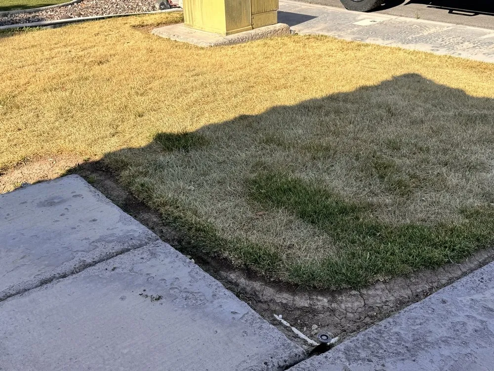 Local landscape design with custom design across Las Vegas, NV - Pacific Landscape