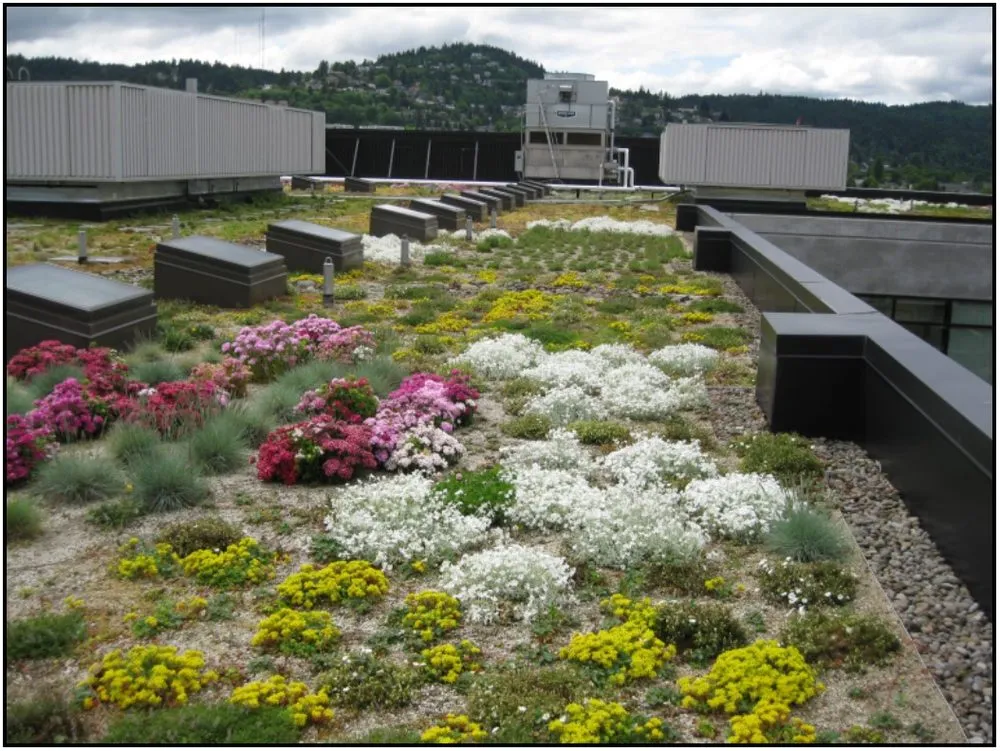 Custom landscaping services for beautiful yards across Hillsboro, OR - Pacific Landscape Management