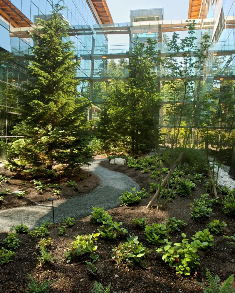 Reliable garden landscaping for outdoor upgrades across Redmond, WA - Pacific Landscape Management