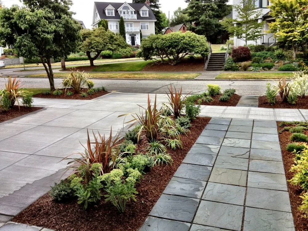Custom yard cleanup service in Redmond, WA by Pacific Landscape Management