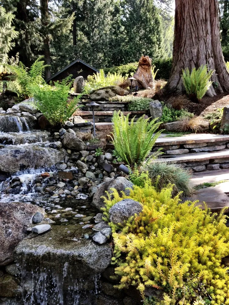 Affordable garden landscaping in Redmond, WA by Pacific Landscape Management