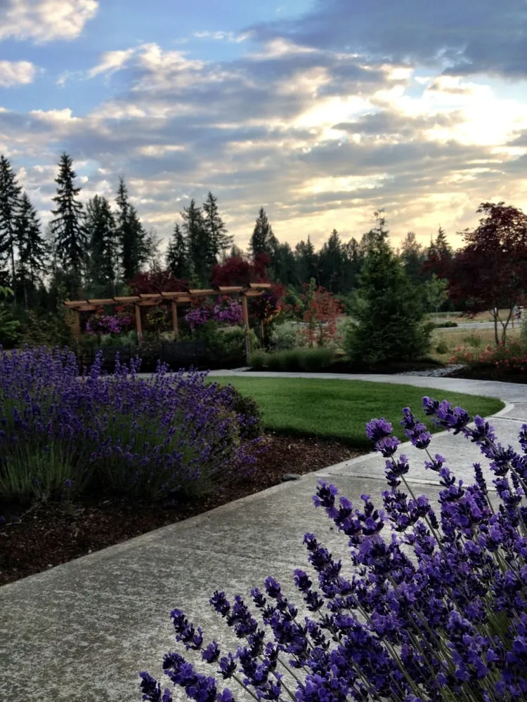 Local residential landscaping for homes across Redmond, WA - Pacific Landscape Management