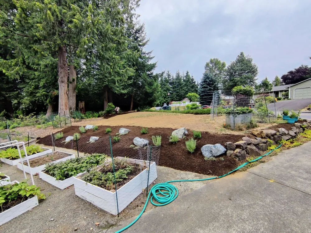 Expert yard maintenance in Redmond, WA - Pacific Landscape Management
