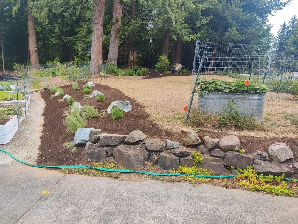 Reliable yard cleanup service in Redmond, WA - Pacific Landscape Management