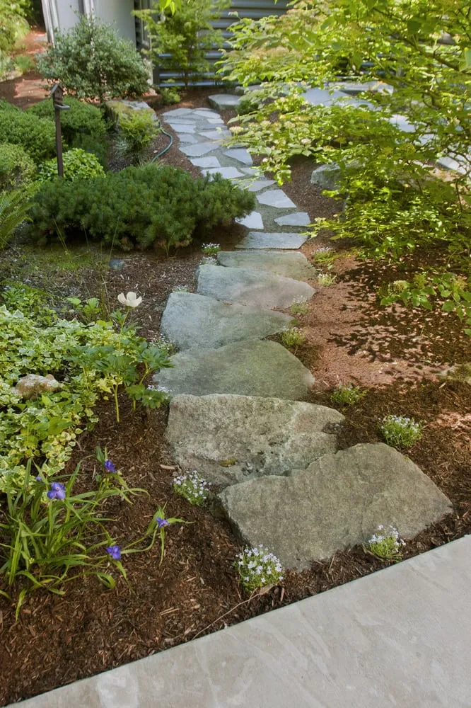 Top-rated yard maintenance in Redmond, WA - Pacific Landscape Management