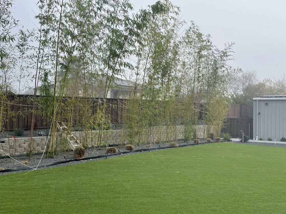 Affordable residential landscaping in Brentwood, CA by Pacific landscape service