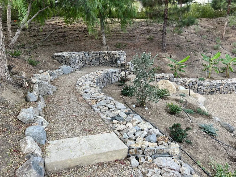 Local yard cleanup service for residential properties across Camarillo, CA - Pacific Landscape Services