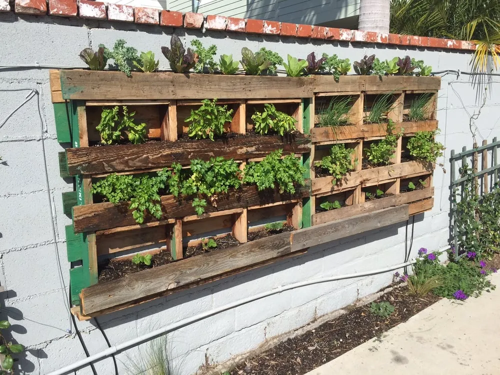 Top-rated lawn care service experts serving Camarillo, CA - Pacific Landscape Services