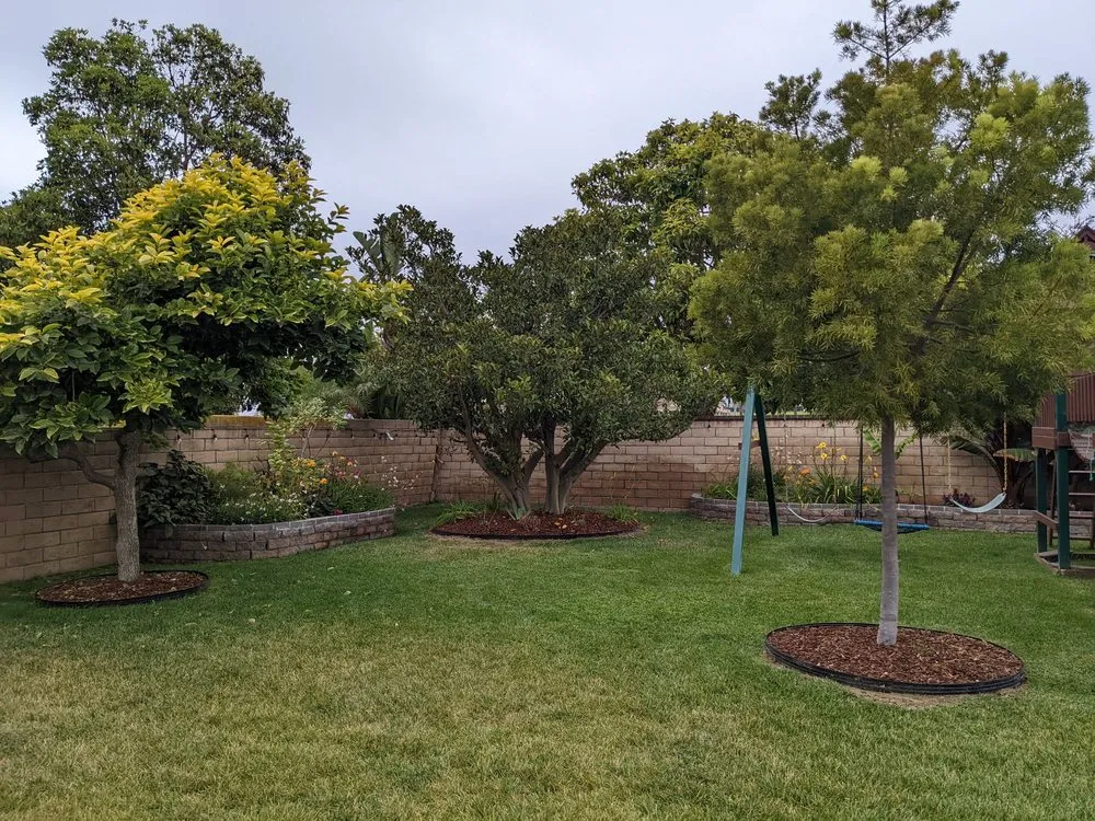 Top-rated residential landscaping for year-round maintenance across Camarillo, CA - Pacific Landscape Services