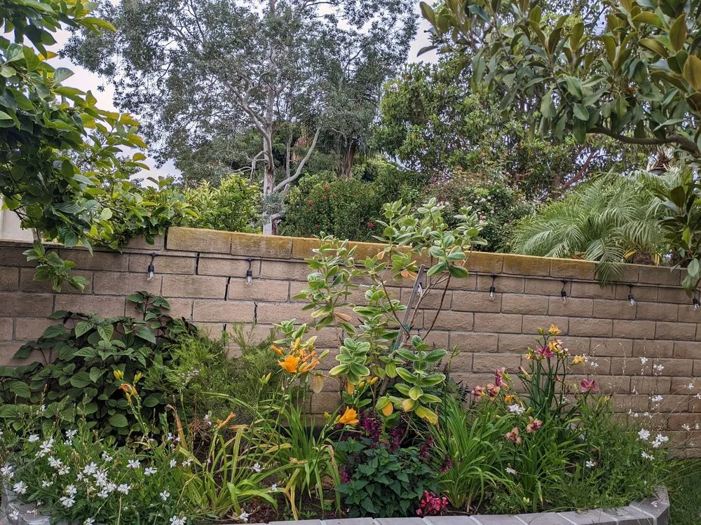 Custom residential landscaping in Camarillo, CA - Pacific Landscape Services