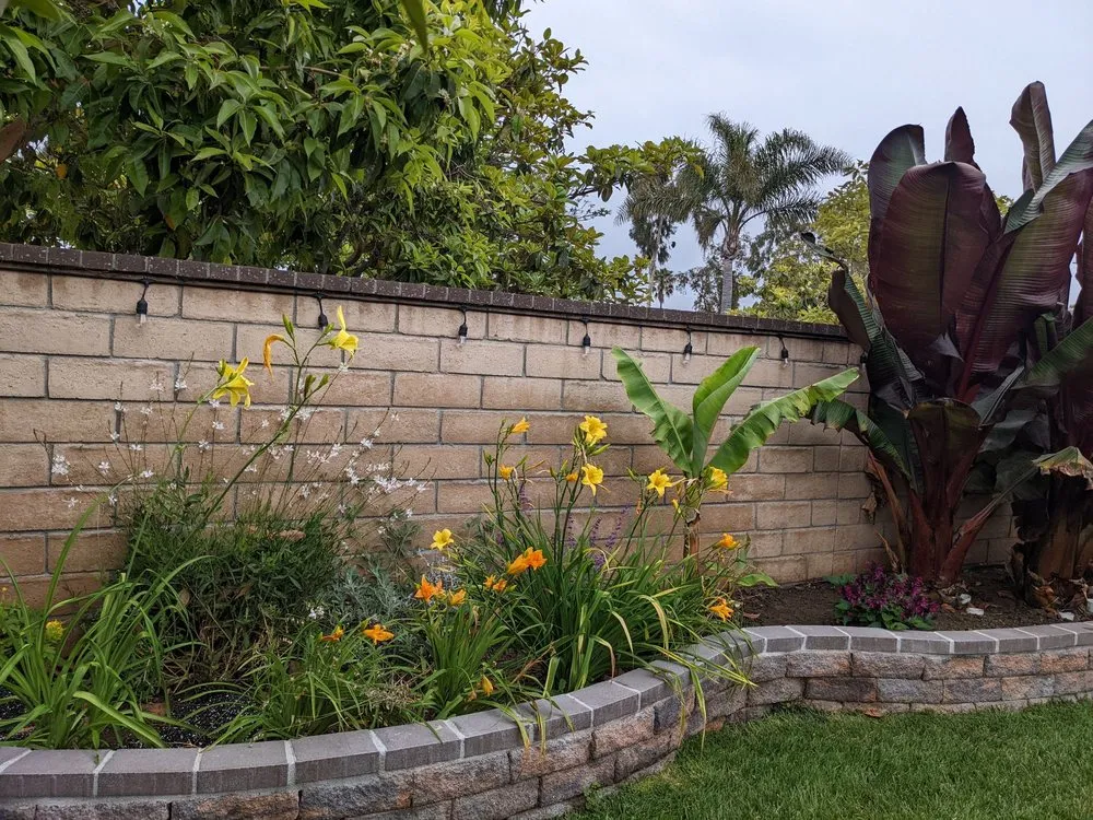 Trusted lawn care service in Camarillo, CA by Pacific Landscape Services