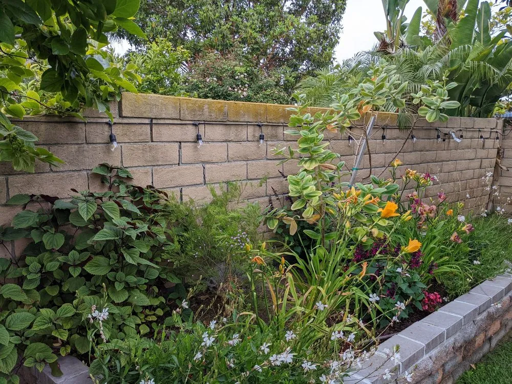 Top-rated garden landscaping for residential properties in Camarillo, CA by Pacific Landscape Services
