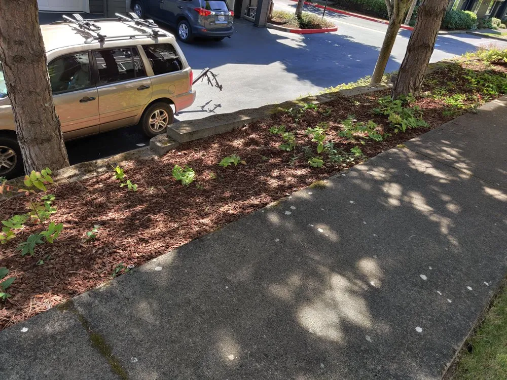 Top-rated residential landscaping for outdoor upgrades across Vancouver, WA - Pacific Landscape Services