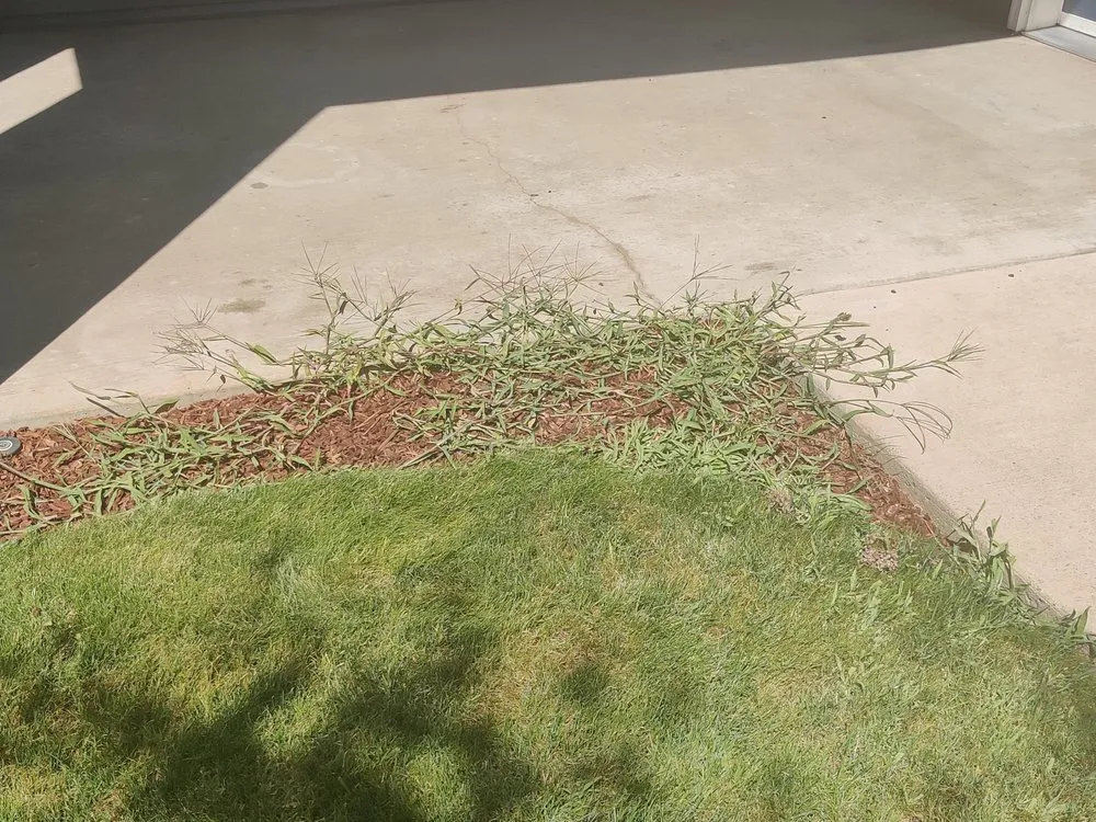 Custom landscaping services in Vancouver, WA by Pacific Landscape Services