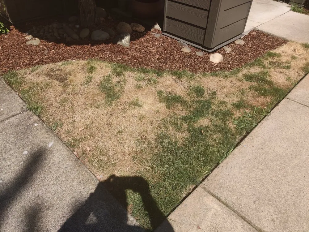 Top-rated garden landscaping for residential properties in Vancouver, WA by Pacific Landscape Services