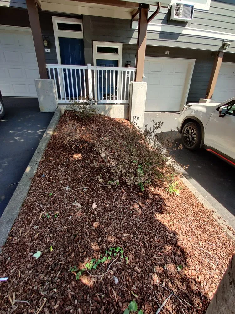 Custom yard cleanup service for outdoor upgrades across Vancouver, WA - Pacific Landscape Services