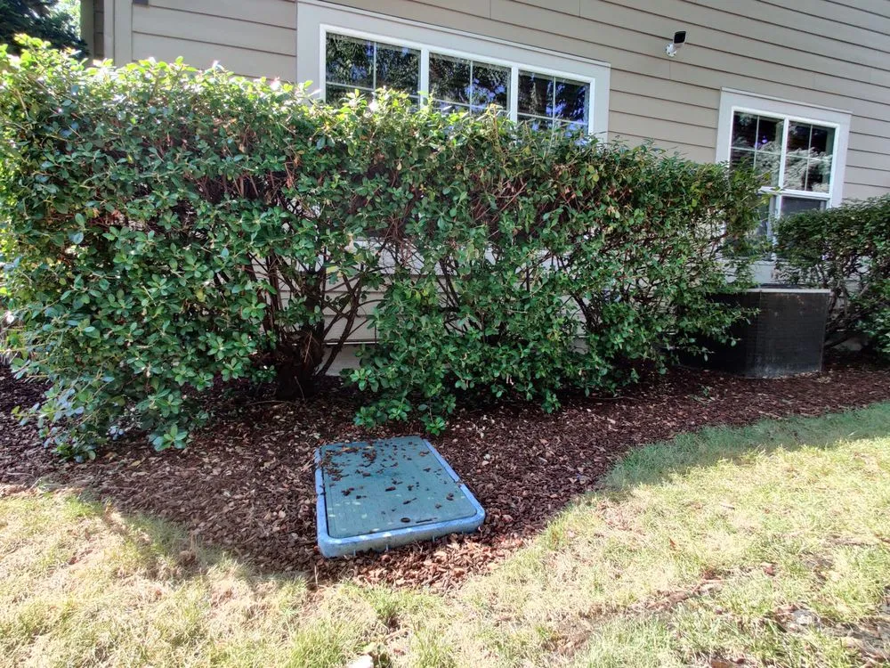 Trusted yard cleanup service in Vancouver, WA by Pacific Landscape Services