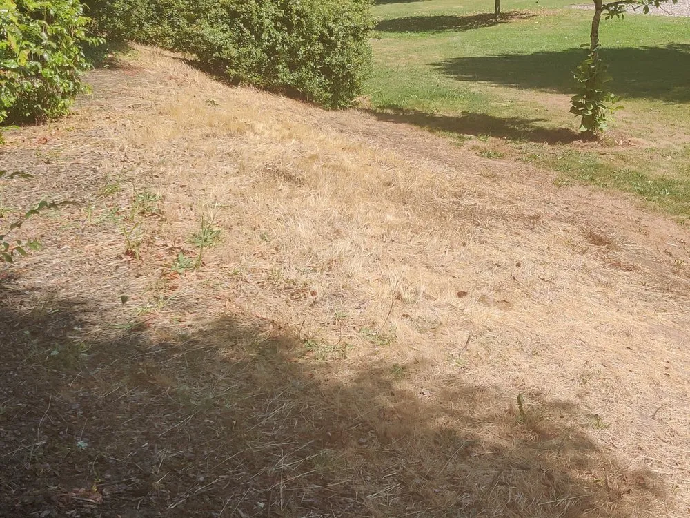 Trusted lawn mowing service experts serving Vancouver, WA - Pacific Landscape Services