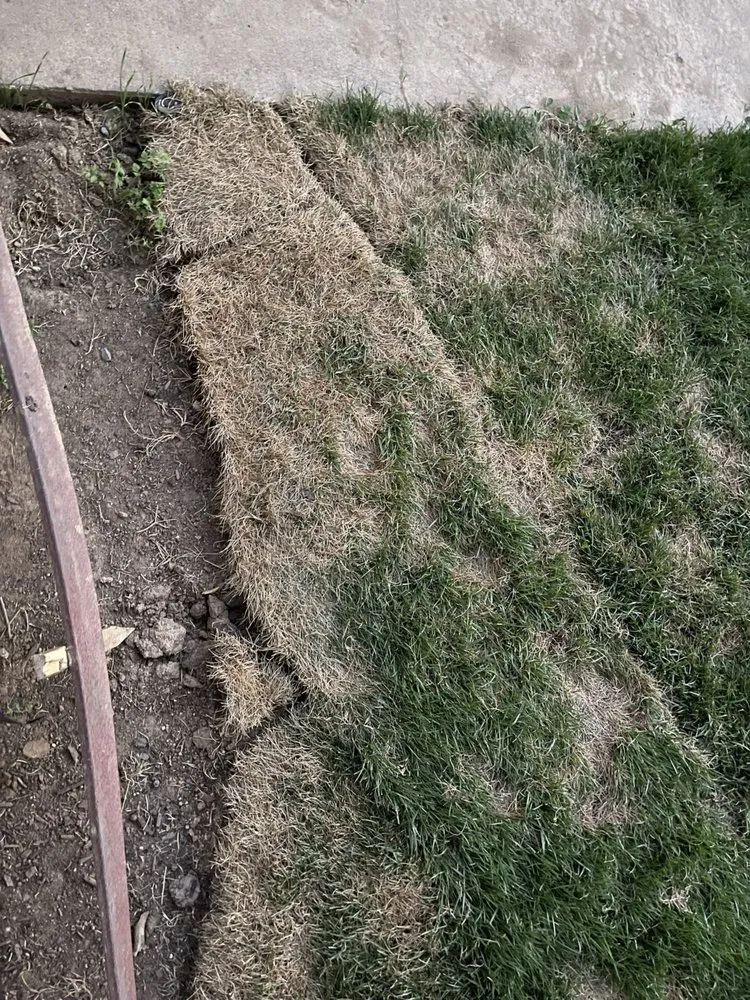 Local landscaping services experts serving Elk Grove, CA - Pacific Landscapes