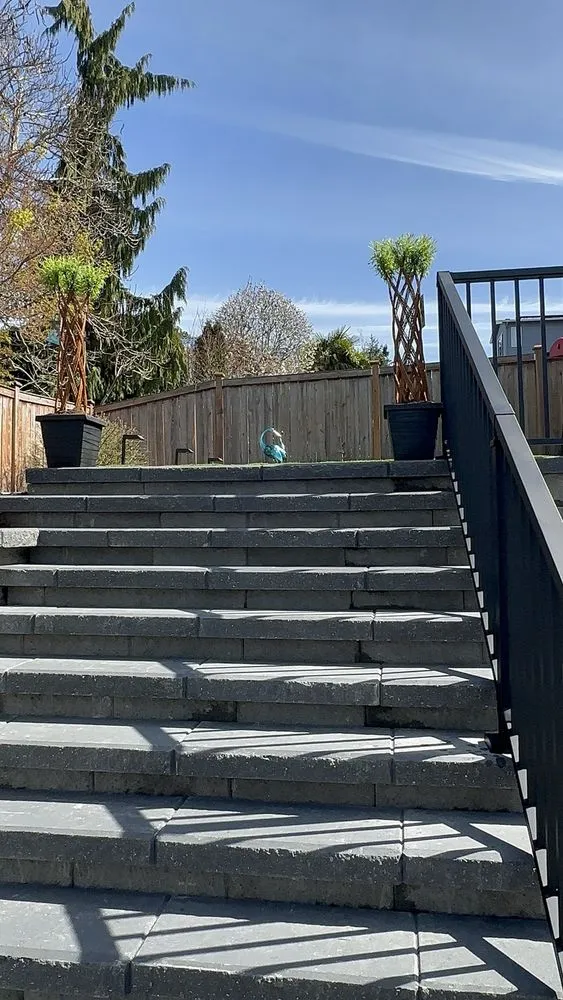 Professional residential landscaping experts serving Kent, WA - Pacific Landscaping