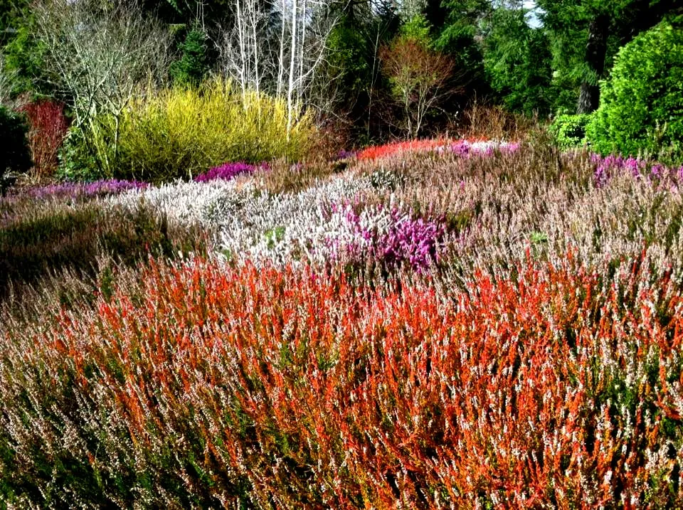 Local landscape installation experts serving Seattle, WA - Pacific Landscaping