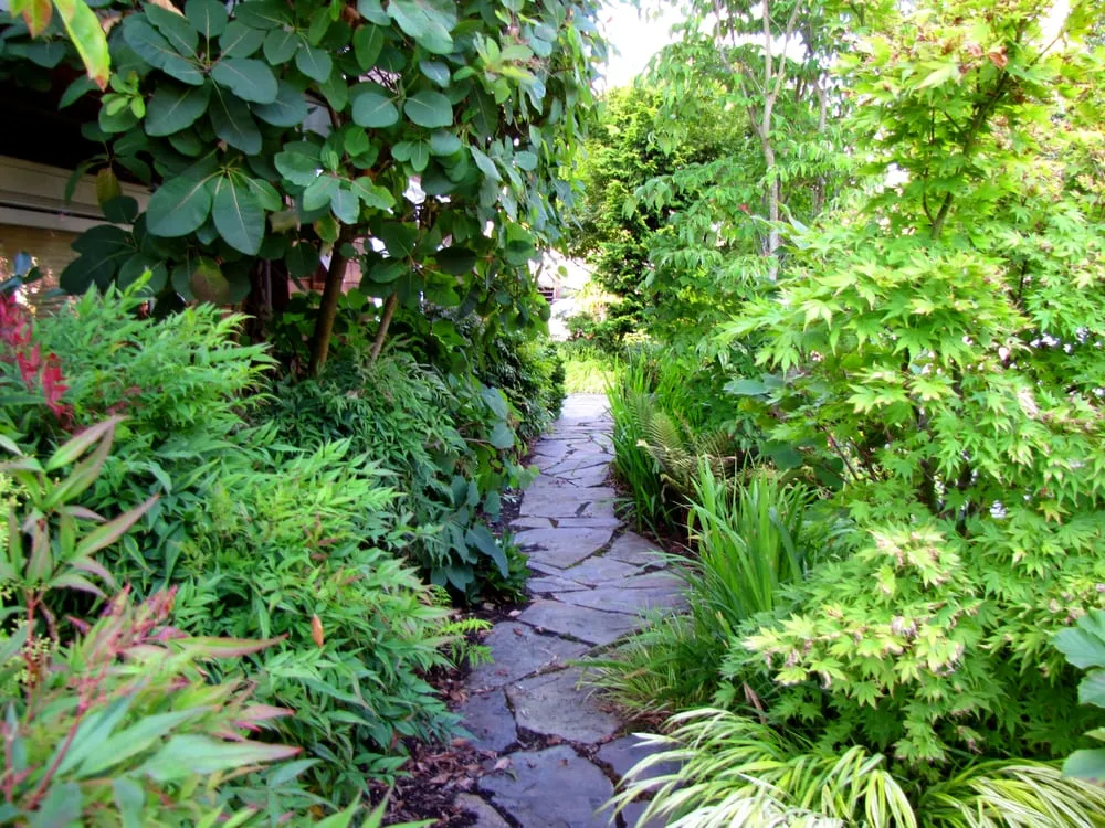 Expert landscape design in Seattle, WA - Pacific Landscaping