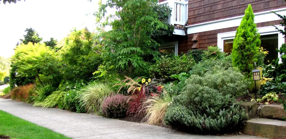 Reliable outdoor landscaping experts serving Seattle, WA - Pacific Landscaping