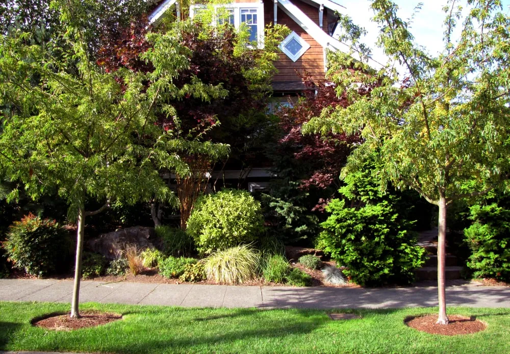Trusted residential landscaping in Seattle, WA - Pacific Landscaping
