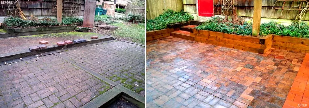 Affordable yard maintenance near you across Seattle, WA - Pacific Landscaping