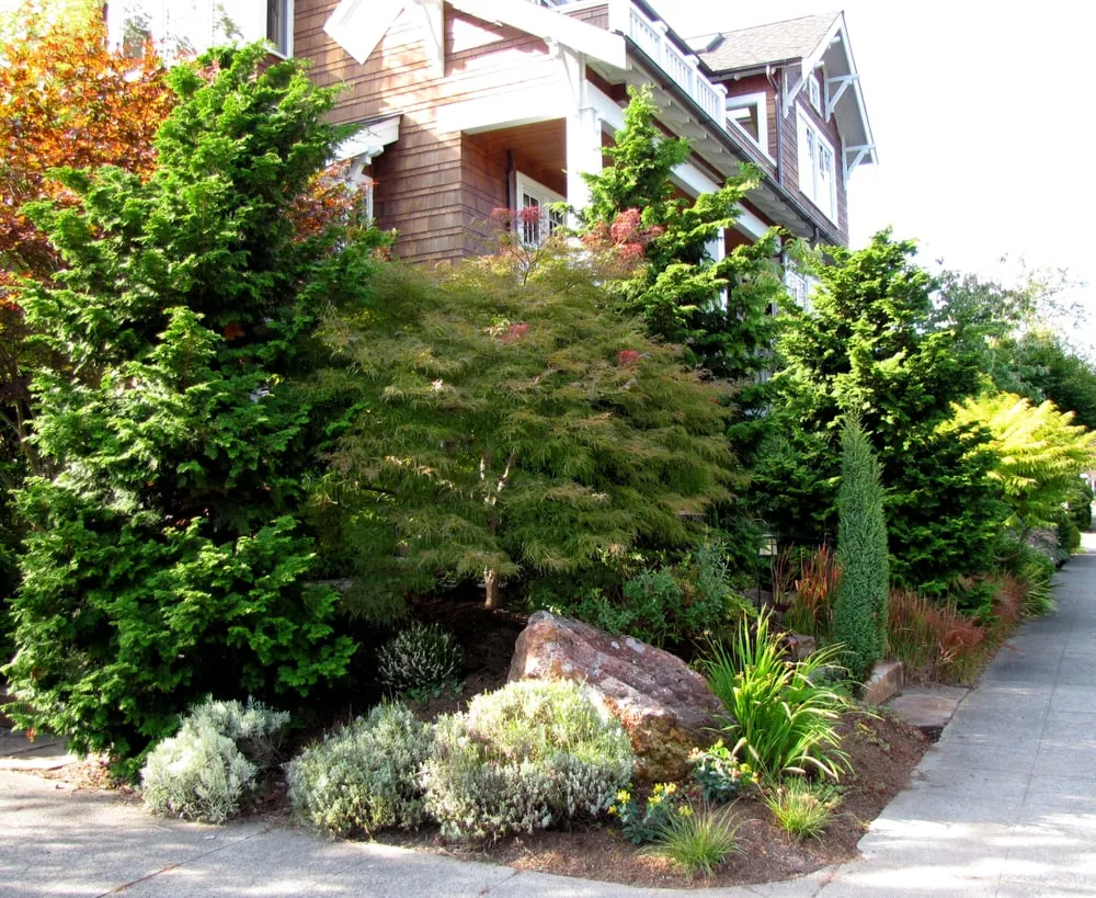 Local outdoor landscaping for outdoor upgrades across Seattle, WA - Pacific Landscaping