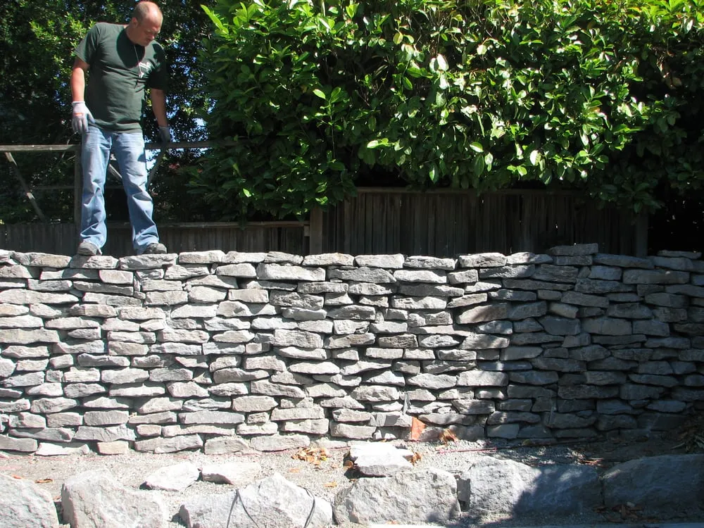 Top-rated yard cleanup service near you in Seattle, WA by Pacific Landscaping