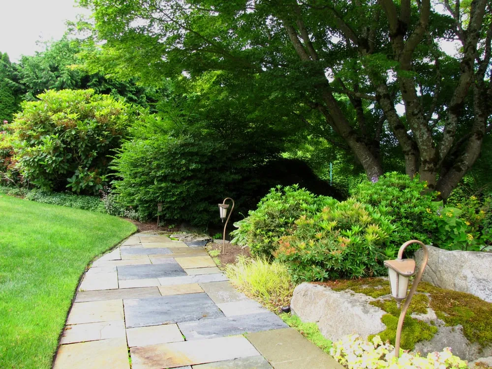 Affordable outdoor landscaping in Seattle, WA - Pacific Landscaping