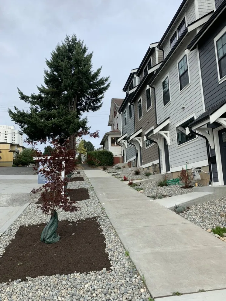 Local landscaping services in Tacoma, WA by Pacific Landscaping