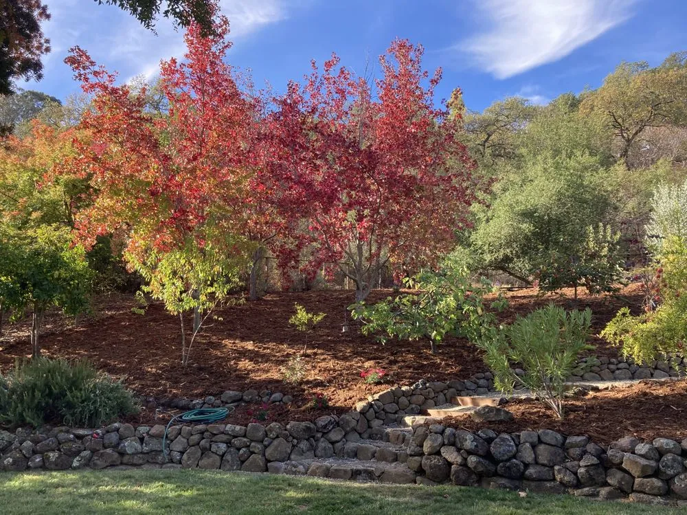 Top-rated garden landscaping in Walnut Creek, CA by Pacific Landscaping