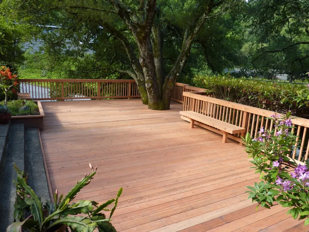 Local landscape design for residential properties in Walnut Creek, CA by Pacific Landscaping