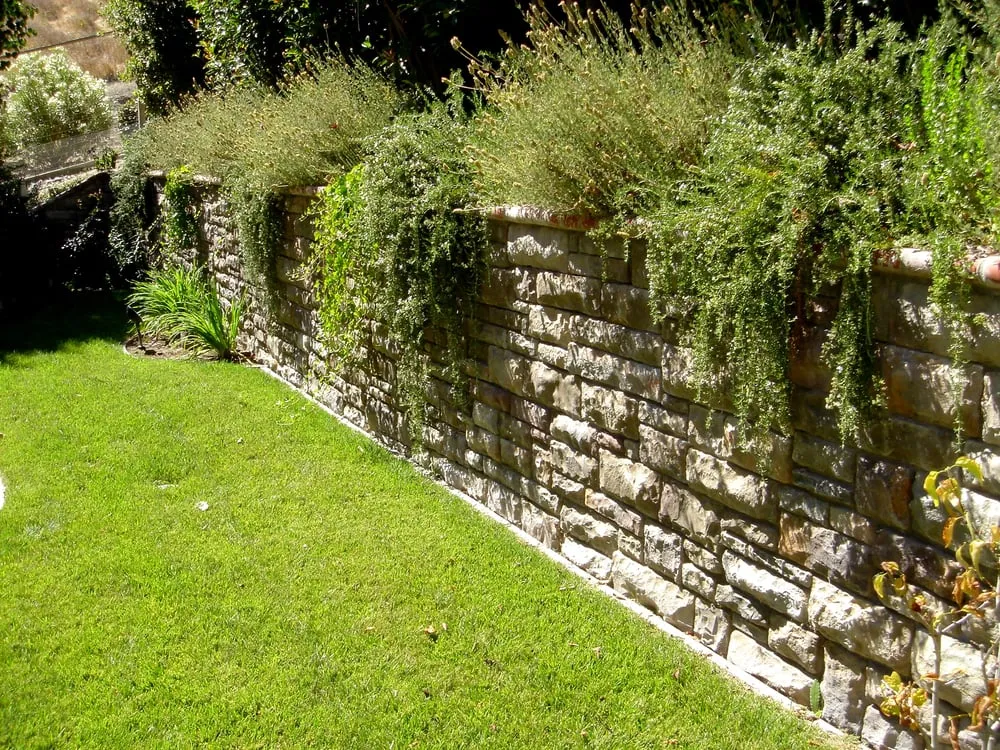 Local garden landscaping in Walnut Creek, CA - Pacific Landscaping