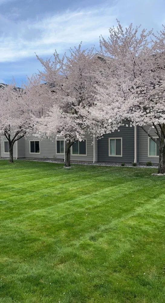 Custom landscape installation for outdoor upgrades in Spokane Valley, WA by Pacific Lawn & Pest