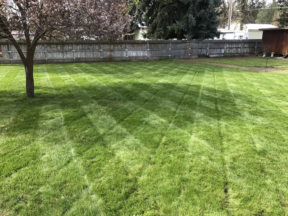 Top-rated lawn care service in Spokane Valley, WA - Pacific Lawn & Pest