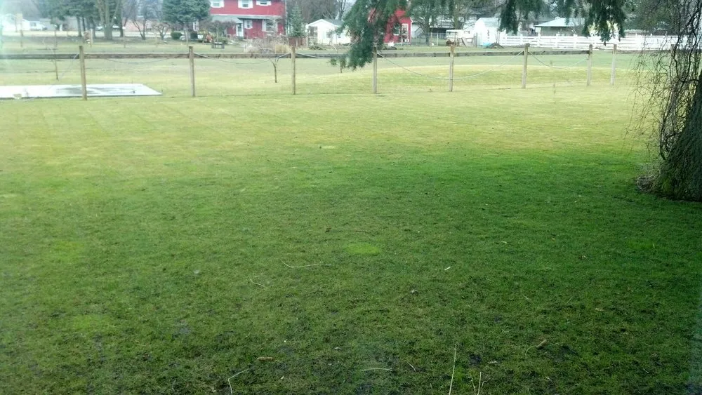 Affordable lawn mowing service with custom design in Spokane Valley, WA by Pacific Lawn & Pest